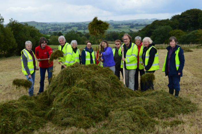 Volunteers on Warslow hay meadows