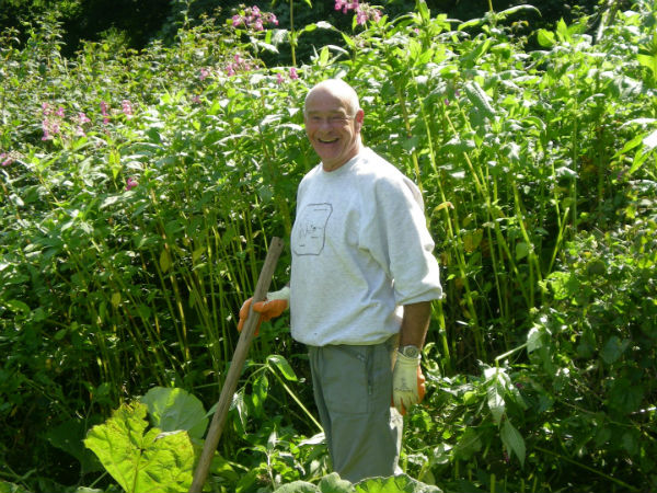 Balsam cutting