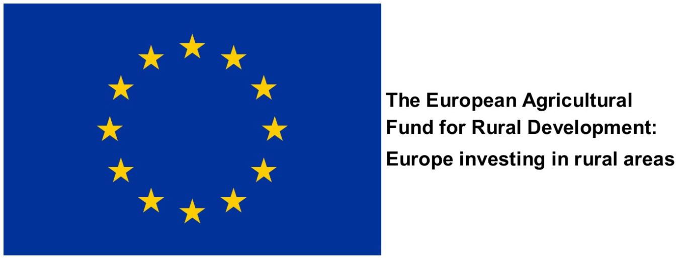 EU Logo w Text