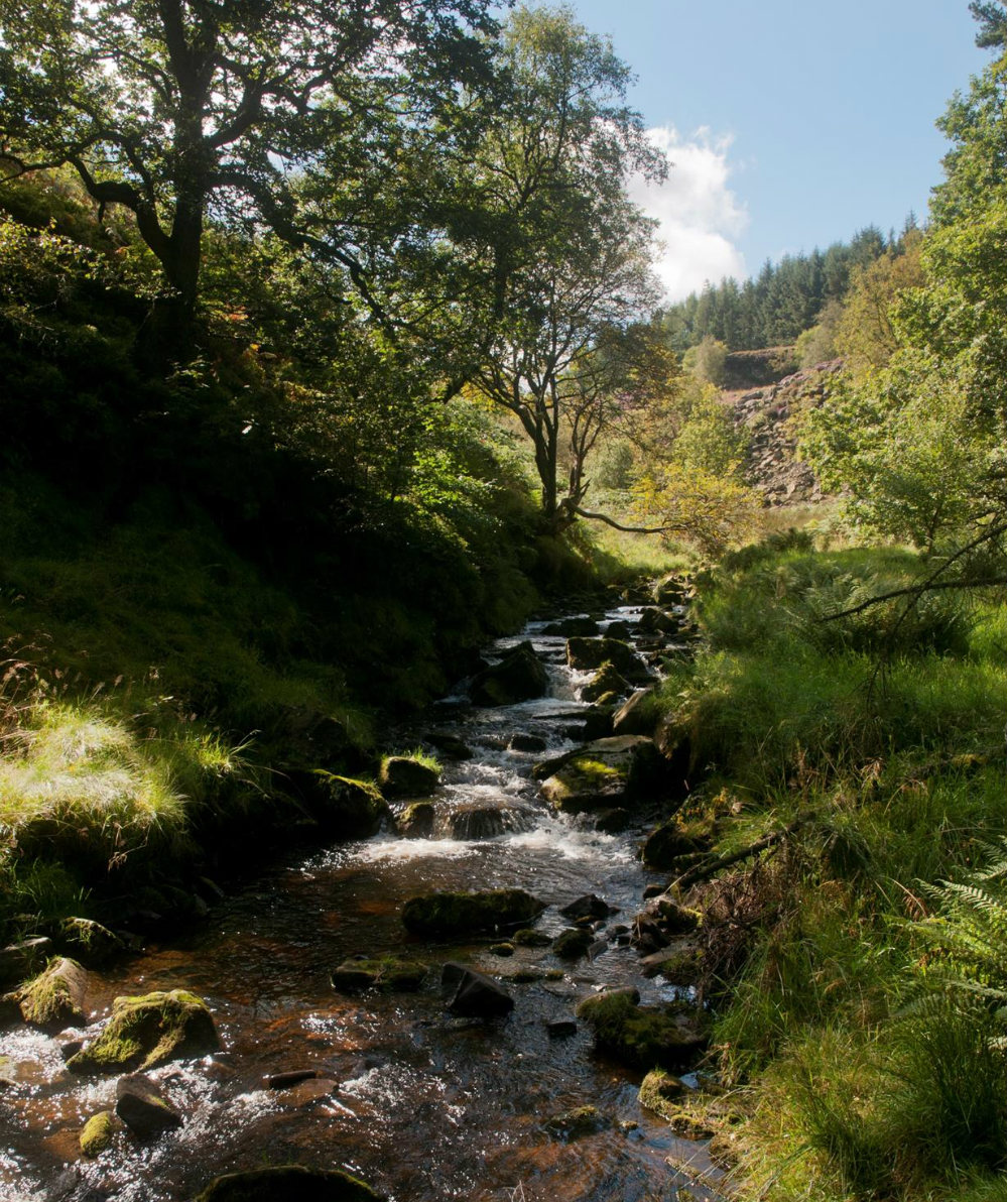 Goyt Stream