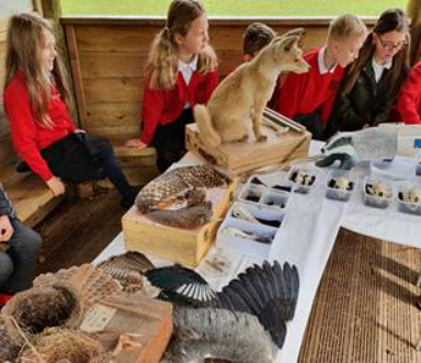 Nature Table