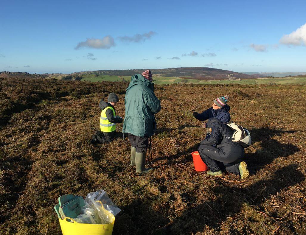 Sphagnum Wide Shot