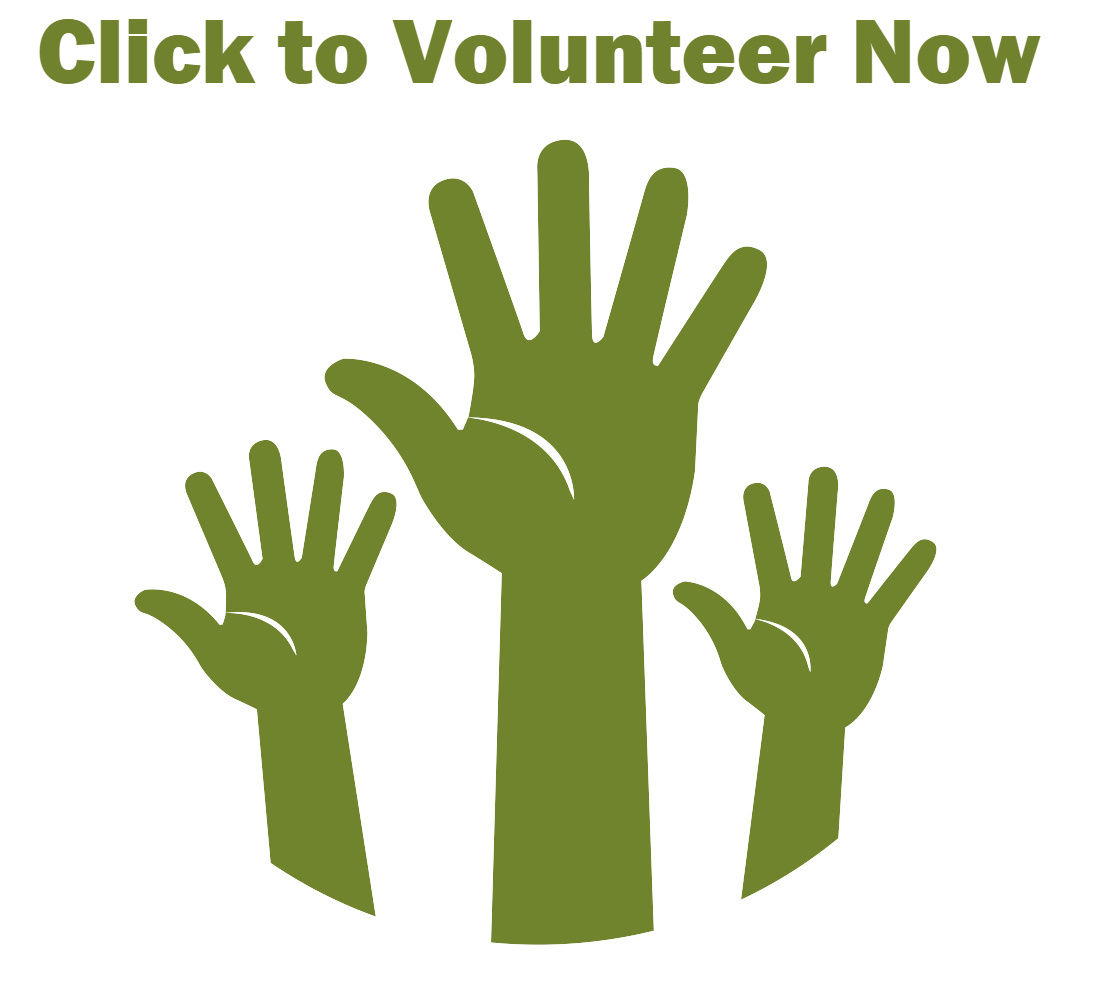 Volunteer Now