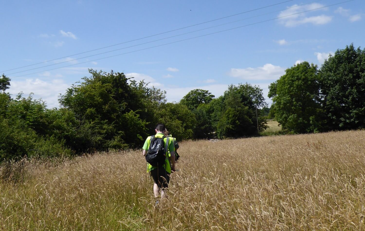 Walk through Field