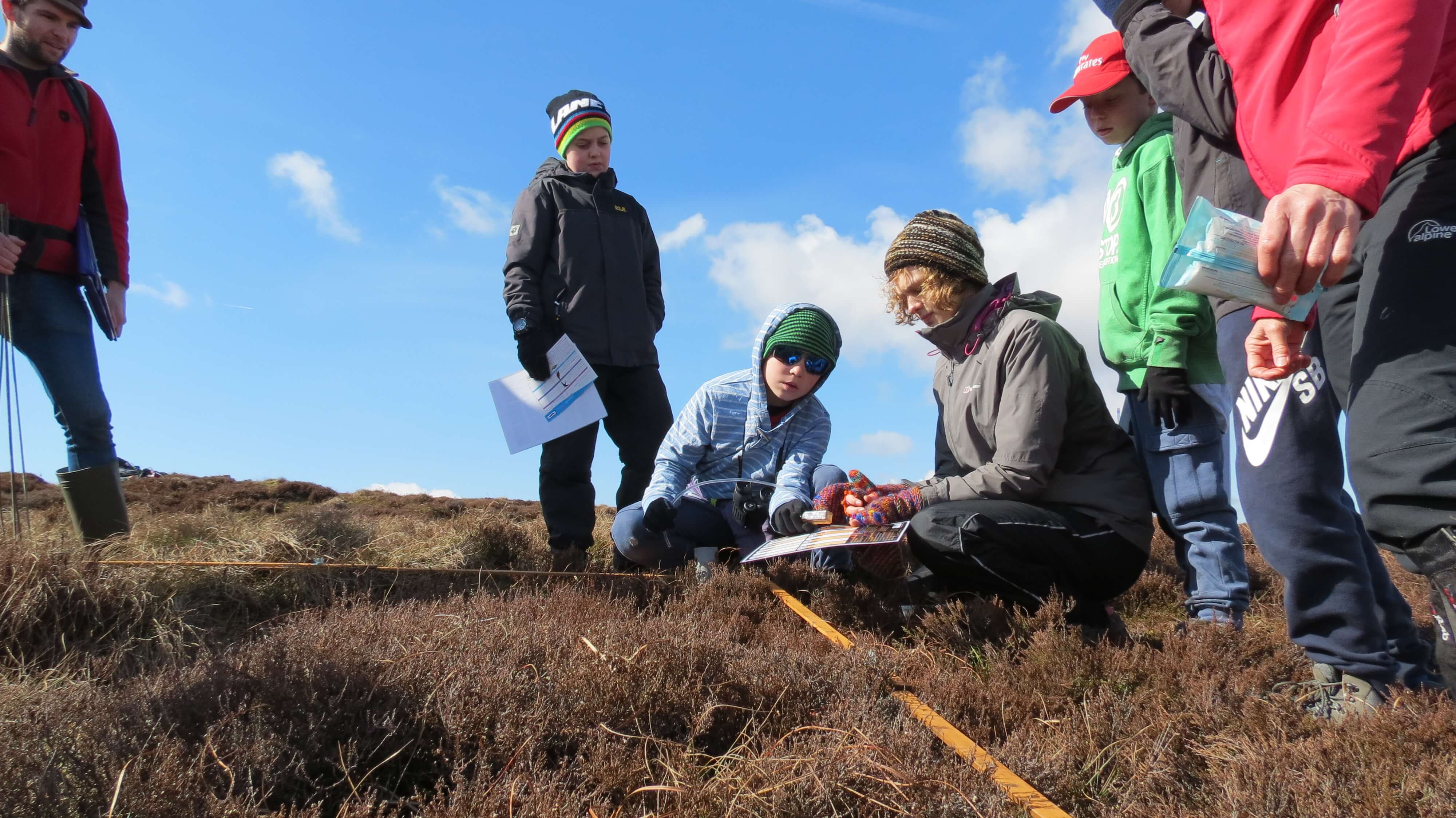 Moorland Samples