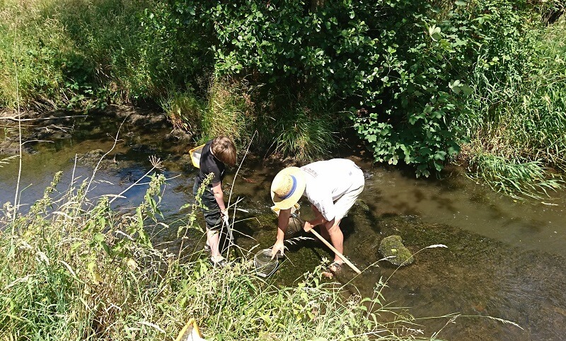 River Dipping