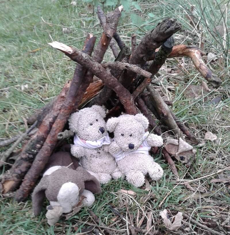 Teddy Bear Hut