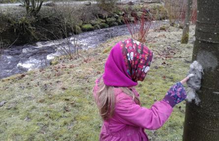 Wildplay Stream at Gradbach